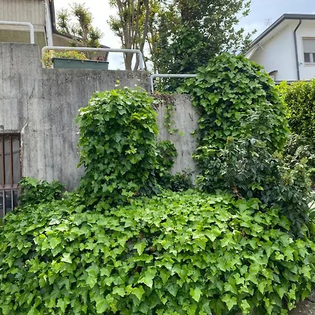 维拉住宿加早餐旅馆 塞里亚泰